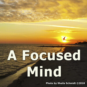 A Focused Mind