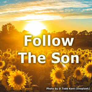 Follow The Son