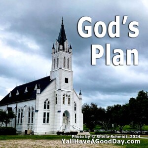 God's Plan