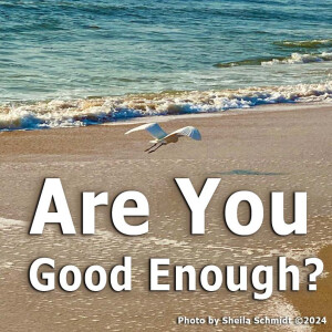 Are You Good Enough?