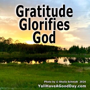 Gratitude Glorifies God
