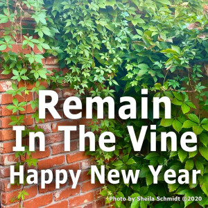 Happy New Year