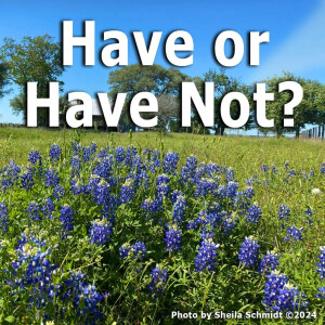 Have or Have Not?