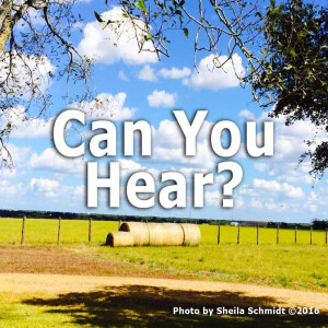 Can You Hear?