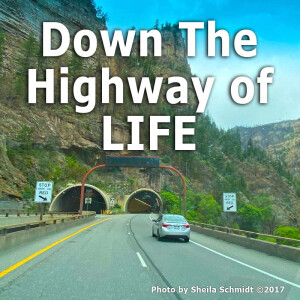Down the Highway of Life