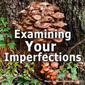 Examining Your Imperfections
