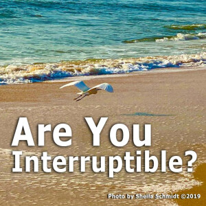 Are You Interruptible?