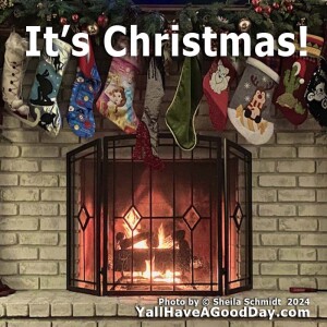 It's Christmas!
