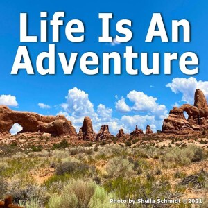 Life Is An Adventure