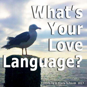 What's Your Love Language?