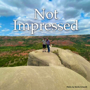 Not Impressed