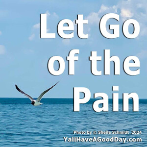 Let Go of the Pain