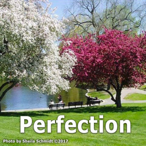 Perfection