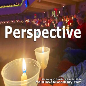 Perspective