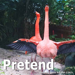 Pretend