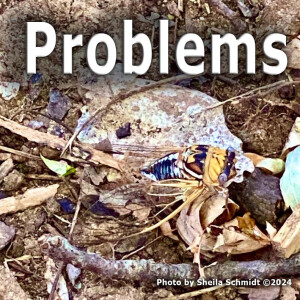 Problems
