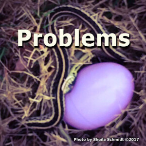 Problems