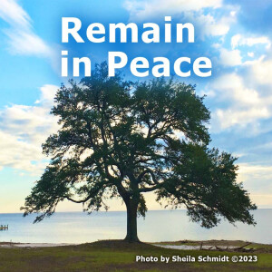 Remain in Peace