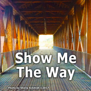 Show Me The Way