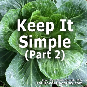 Keep It Simple (Part 2)