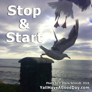 Stop & Start