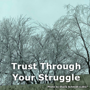 Trust Through Your Struggle