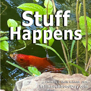 Stuff Happens
