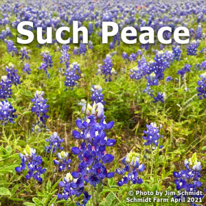Such Peace