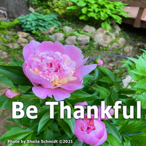 Be Thankful