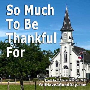 So Much To Be Thankful For