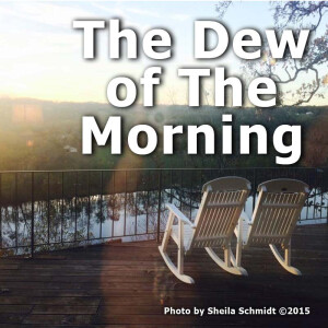 The Dew of The Morning
