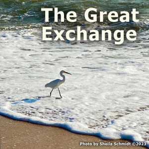 The Great Exchange