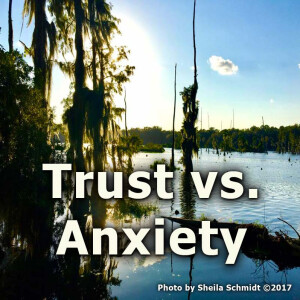Trust vs. Anxiety