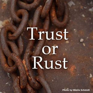 Trust or Rust