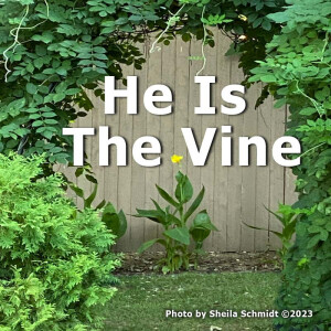 He Is The Vine