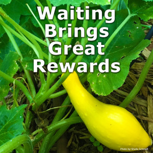 Waiting Brings Great Rewards