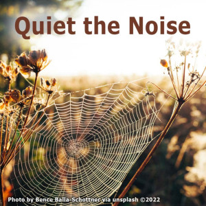 Quiet the Noise