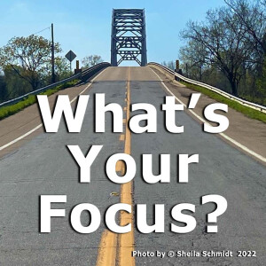What's Your Focus?
