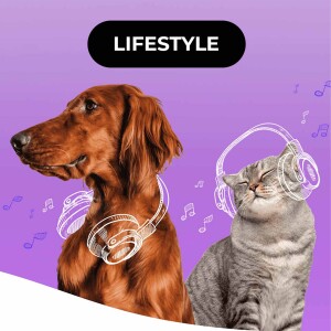 🎶 Music For Pets: música para reduzir o stress em cães e gatos
