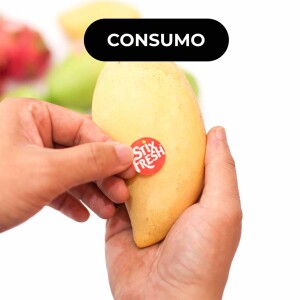 🥭 Ryp Labs prolonga prazo da fruta até 2 semanas