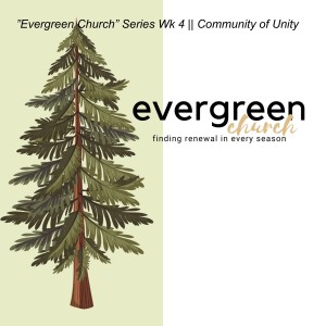 ”Evergreen Church” Series || Community of Unity