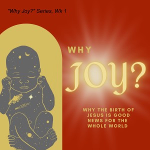 ”Why Joy?” Series Wk 3