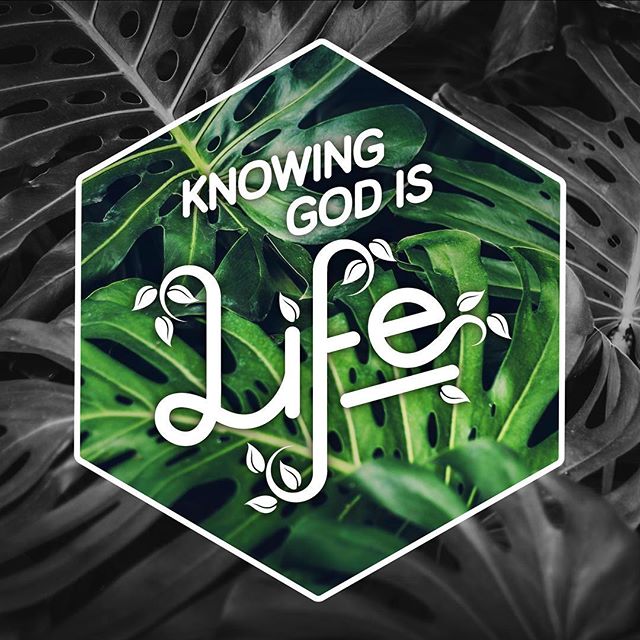 Knowing God is Life: Keep Yourself From Idols