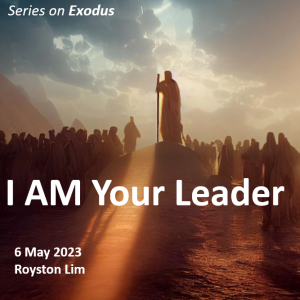 Series on Exodus: I AM Your Leader