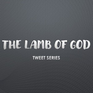 TWEET Series 8: The Lamb of God