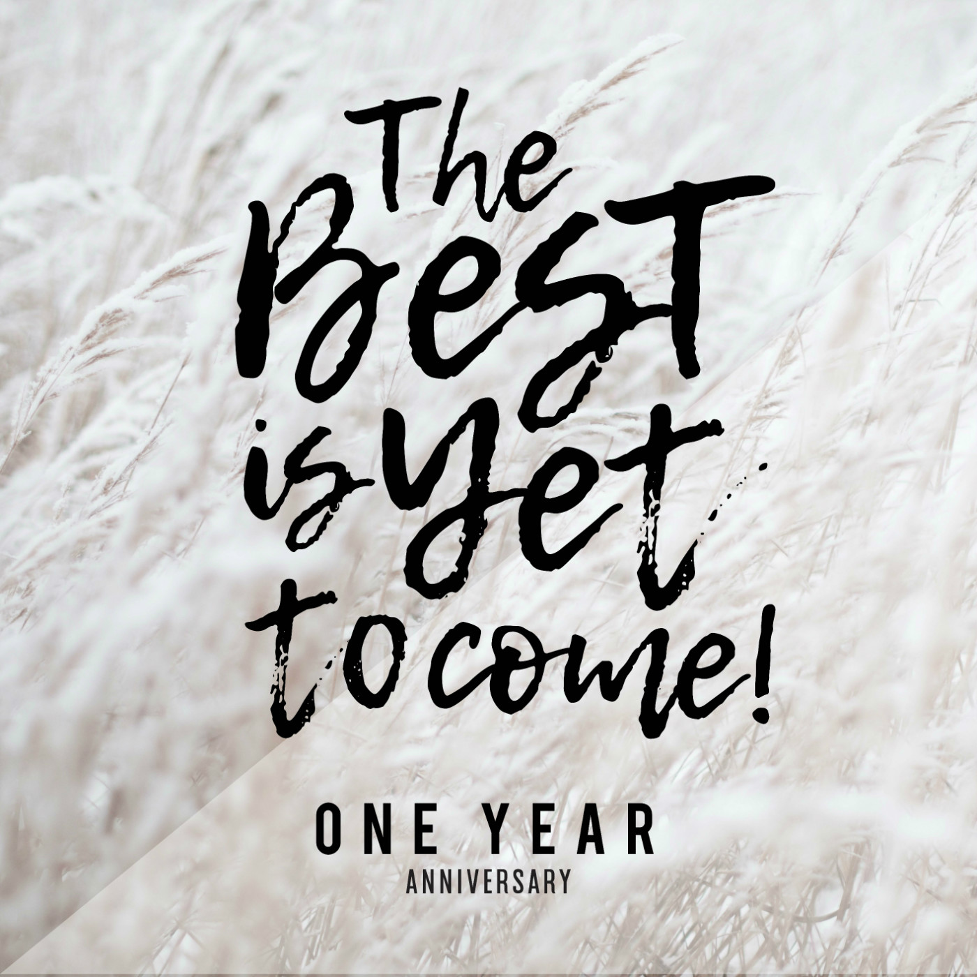 The Best is yet to come! - 1 Year Anniversary