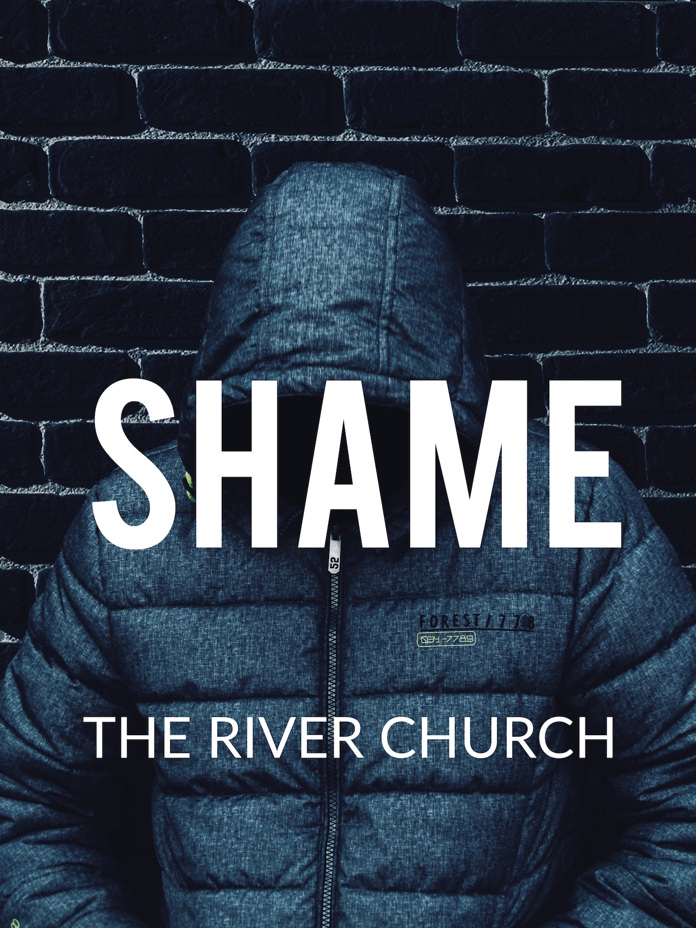 Shame - Joel Libramento