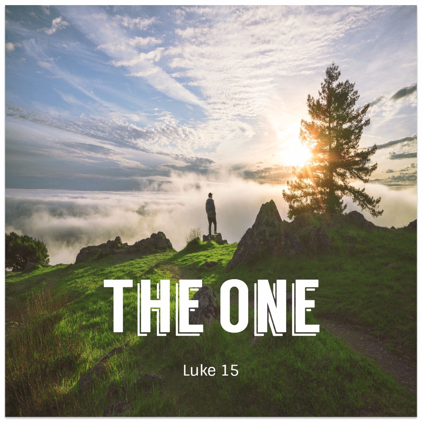 Luke 15: "The One"