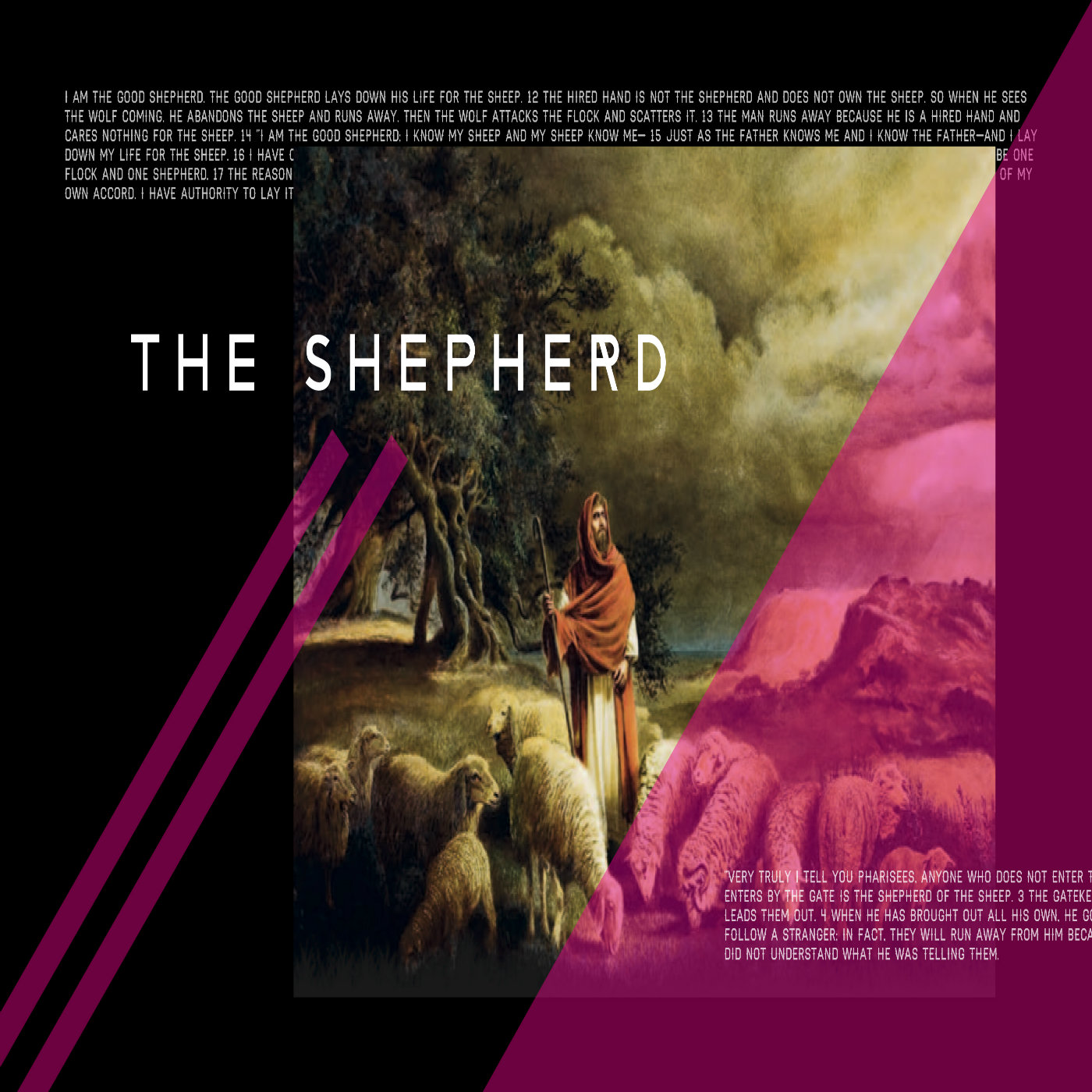 The Shepherd Series: Part 1