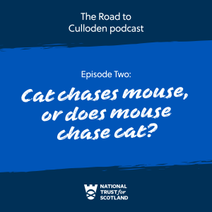 EPISODE TWO: Cat chases mouse, or does mouse chase cat?